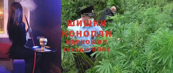 прущий лед Бородино